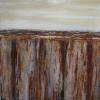 Petrified Wood
Acrylic on Canvas
40x30
$395.
